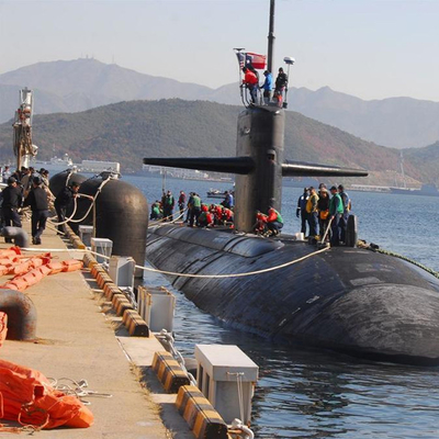 50kPa amortisseurs submersibles ISO17357-1 : La BV 2014 délivrent un certificat la couleur noire pour l'amarrage à quai